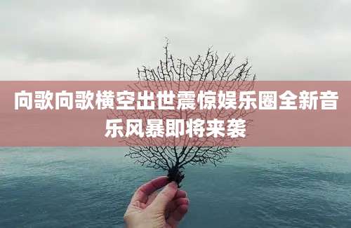向歌向歌横空出世震惊娱乐圈全新音乐风暴即将来袭