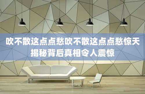 吹不散这点点愁吹不散这点点愁惊天揭秘背后真相令人震惊