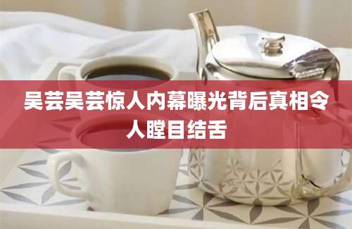 吴芸吴芸惊人内幕曝光背后真相令人瞠目结舌