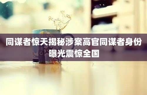 同谋者惊天揭秘涉案高官同谋者身份曝光震惊全国