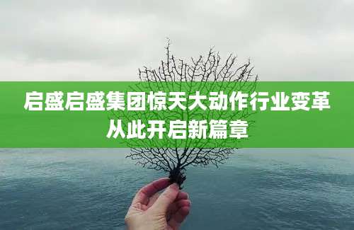 启盛启盛集团惊天大动作行业变革从此开启新篇章