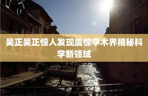 吴正吴正惊人发现震惊学术界揭秘科学新领域
