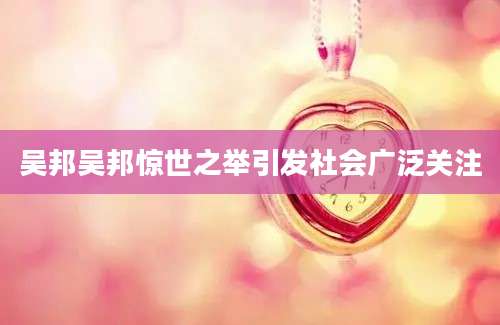 吴邦吴邦惊世之举引发社会广泛关注