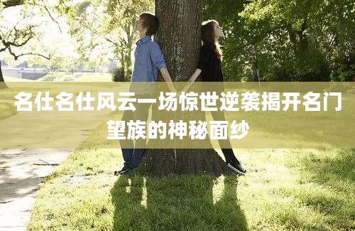 名仕名仕风云一场惊世逆袭揭开名门望族的神秘面纱