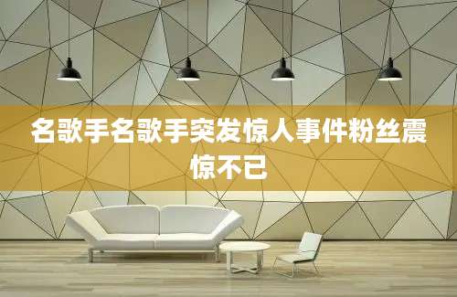 名歌手名歌手突发惊人事件粉丝震惊不已