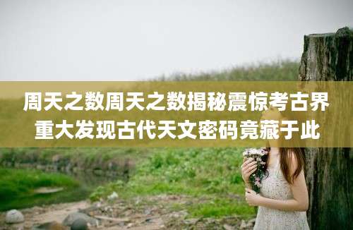周天之数周天之数揭秘震惊考古界重大发现古代天文密码竟藏于此