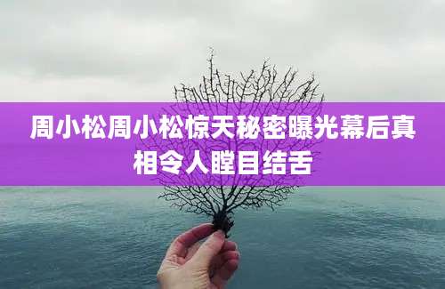 周小松周小松惊天秘密曝光幕后真相令人瞠目结舌