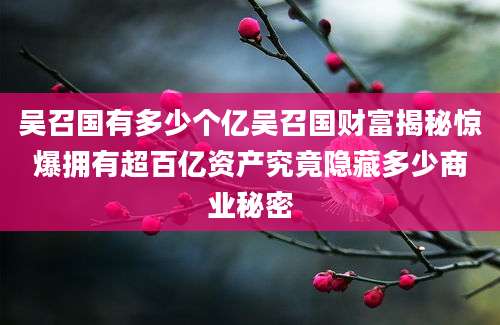 吴召国有多少个亿吴召国财富揭秘惊爆拥有超百亿资产究竟隐藏多少商业秘密