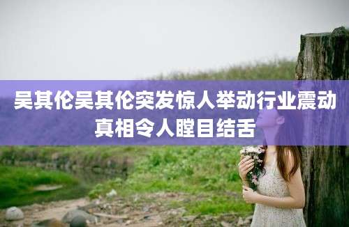 吴其伦吴其伦突发惊人举动行业震动真相令人瞠目结舌