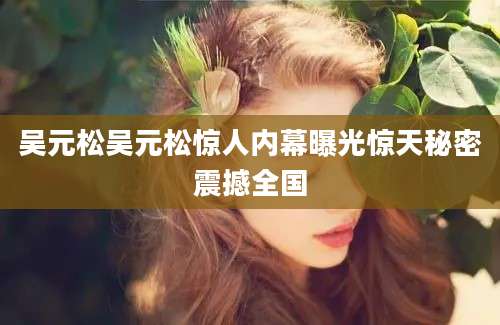 吴元松吴元松惊人内幕曝光惊天秘密震撼全国
