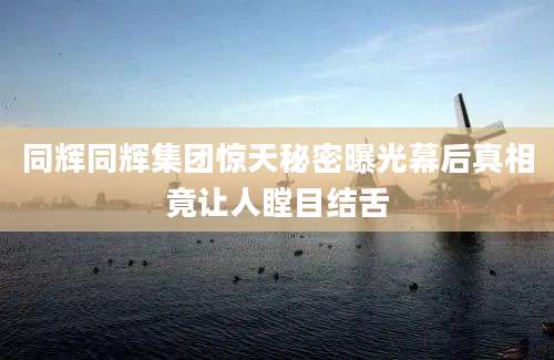 同辉同辉集团惊天秘密曝光幕后真相竟让人瞠目结舌