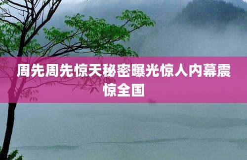 周先周先惊天秘密曝光惊人内幕震惊全国