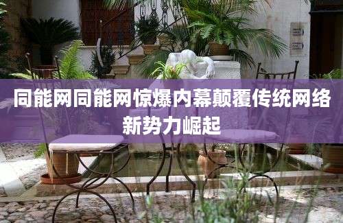 同能网同能网惊爆内幕颠覆传统网络新势力崛起