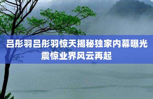 吕彤羽吕彤羽惊天揭秘独家内幕曝光震惊业界风云再起