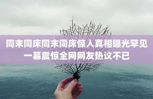 同末同床同末同床惊人真相曝光罕见一幕震惊全网网友热议不已