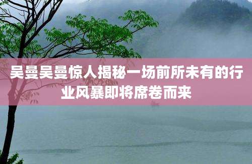 吴曼吴曼惊人揭秘一场前所未有的行业风暴即将席卷而来