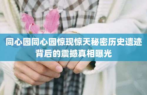 同心园同心园惊现惊天秘密历史遗迹背后的震撼真相曝光