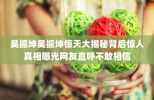 吴振坤吴振坤惊天大揭秘背后惊人真相曝光网友直呼不敢相信