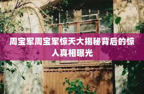 周宝军周宝军惊天大揭秘背后的惊人真相曝光
