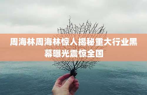 周海林周海林惊人揭秘重大行业黑幕曝光震惊全国