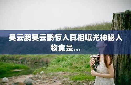 吴云鹏吴云鹏惊人真相曝光神秘人物竟是...