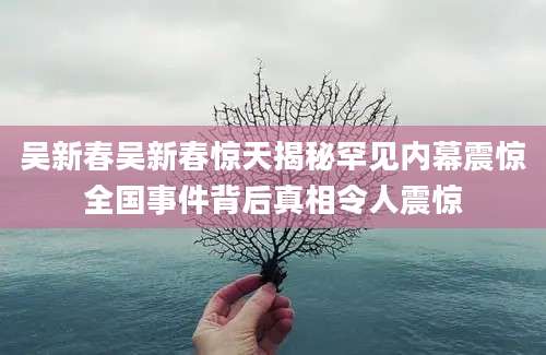 吴新春吴新春惊天揭秘罕见内幕震惊全国事件背后真相令人震惊