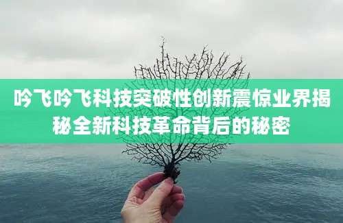 吟飞吟飞科技突破性创新震惊业界揭秘全新科技革命背后的秘密