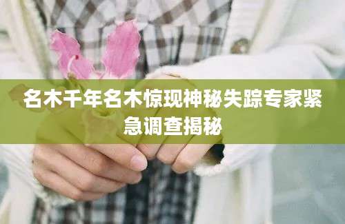 名木千年名木惊现神秘失踪专家紧急调查揭秘