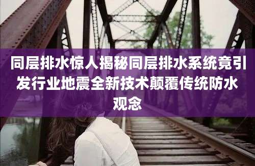 同层排水惊人揭秘同层排水系统竟引发行业地震全新技术颠覆传统防水观念