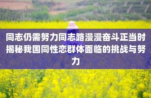 同志仍需努力同志路漫漫奋斗正当时揭秘我国同性恋群体面临的挑战与努力