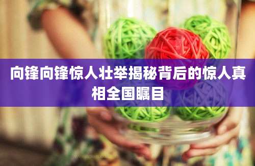向锋向锋惊人壮举揭秘背后的惊人真相全国瞩目