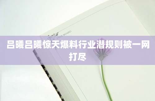 吕曦吕曦惊天爆料行业潜规则被一网打尽