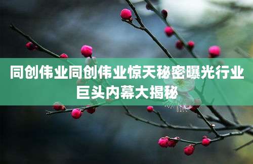 同创伟业同创伟业惊天秘密曝光行业巨头内幕大揭秘