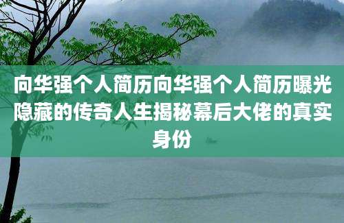向华强个人简历向华强个人简历曝光隐藏的传奇人生揭秘幕后大佬的真实身份