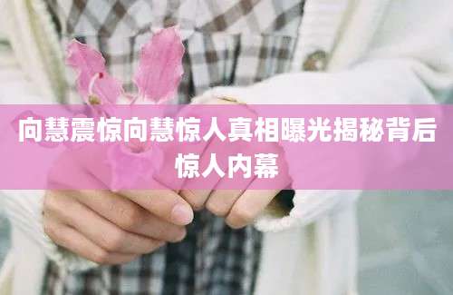 向慧震惊向慧惊人真相曝光揭秘背后惊人内幕