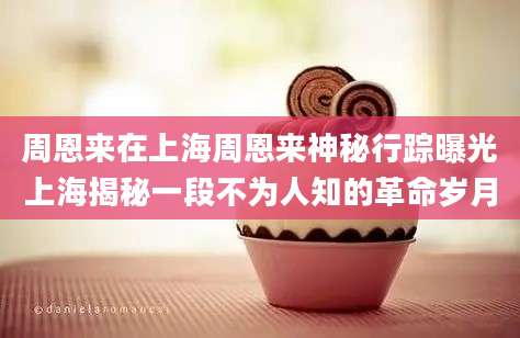周恩来在上海周恩来神秘行踪曝光上海揭秘一段不为人知的革命岁月