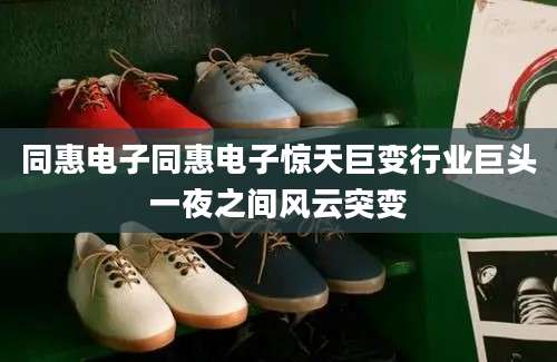 同惠电子同惠电子惊天巨变行业巨头一夜之间风云突变