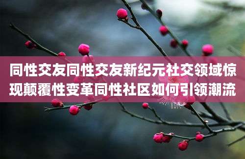 同性交友同性交友新纪元社交领域惊现颠覆性变革同性社区如何引领潮流