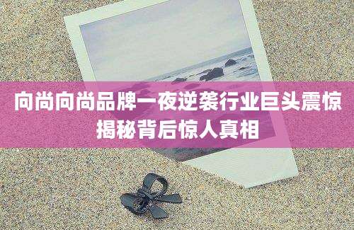 向尚向尚品牌一夜逆袭行业巨头震惊揭秘背后惊人真相