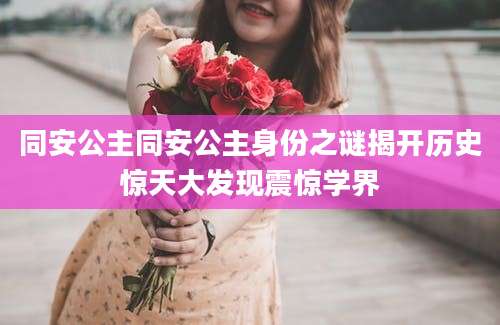 同安公主同安公主身份之谜揭开历史惊天大发现震惊学界