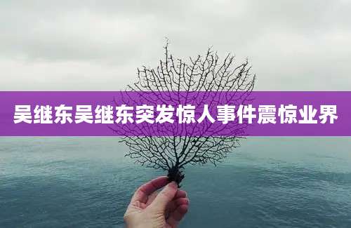 吴继东吴继东突发惊人事件震惊业界