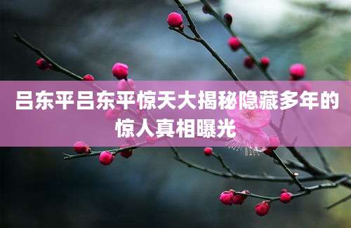 吕东平吕东平惊天大揭秘隐藏多年的惊人真相曝光