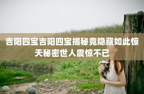 吉阳四宝吉阳四宝揭秘竟隐藏如此惊天秘密世人震惊不已