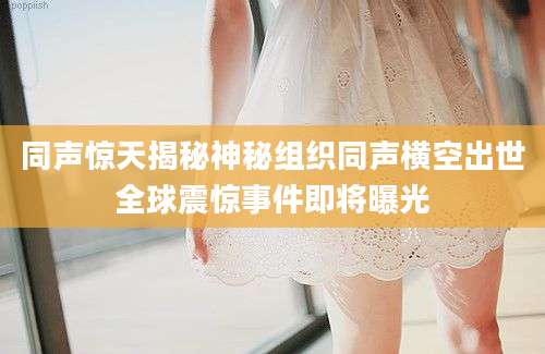 同声惊天揭秘神秘组织同声横空出世全球震惊事件即将曝光