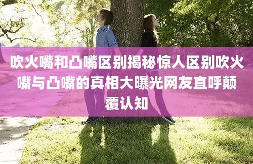 吹火嘴和凸嘴区别揭秘惊人区别吹火嘴与凸嘴的真相大曝光网友直呼颠覆认知