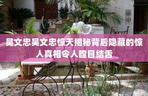 吴文忠吴文忠惊天揭秘背后隐藏的惊人真相令人瞠目结舌