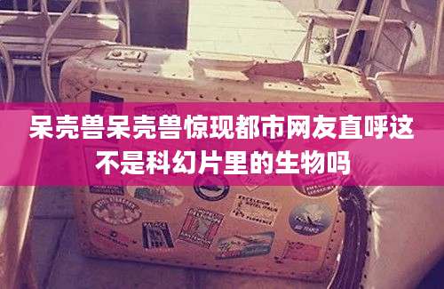 呆壳兽呆壳兽惊现都市网友直呼这不是科幻片里的生物吗