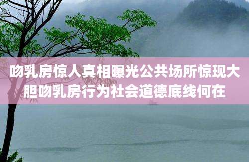 吻乳房惊人真相曝光公共场所惊现大胆吻乳房行为社会道德底线何在