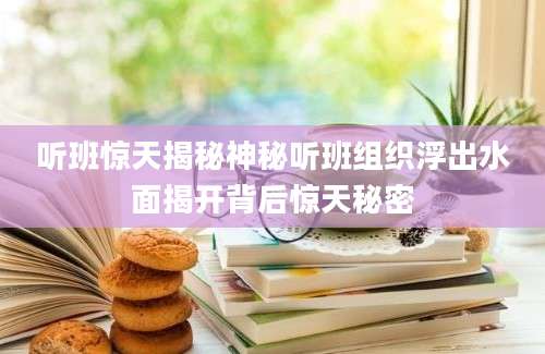 听班惊天揭秘神秘听班组织浮出水面揭开背后惊天秘密