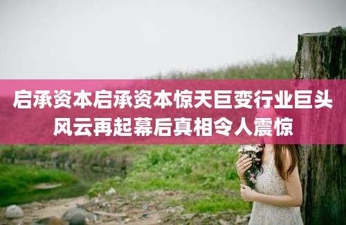 启承资本启承资本惊天巨变行业巨头风云再起幕后真相令人震惊